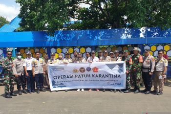 BKHIT Sumsel turunkan empat tim gelar operasi patuh karantina di pelabuhan TAA