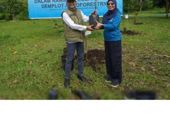 PTAM Giri Menang lestarikan lingkungan melalui taman pohon