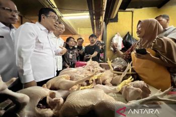 Harga pangan pada Rabu, daging ayam naik jadi Rp36.710 per kg
