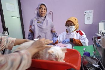 UPTD Kesehatan Hewan Lampung targetkan PAD naik Rp150 juta