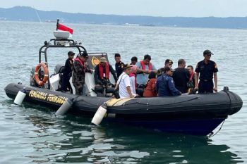 KKP lepasliarkan puluhan ribu benih lobster di perairan Pesawaran Lampung