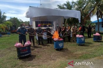 Bea Cukai Bengkalis musnahkan 29 ton bawang putih ilegal