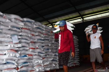 Stok beras nasional