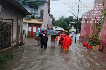 Sejumlah kawasan di Jember dilanda banjir