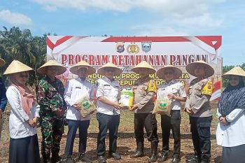 Pemkab Pasaman Barat pastikan ketersediaan pangan hingga akhir tahun