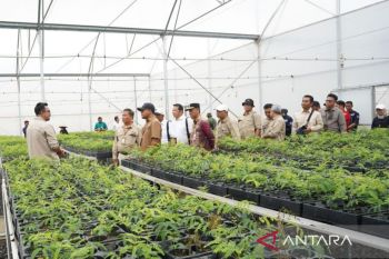 Wamenhut tinjau perkembangan persemaian di Liang Anggang Kalsel