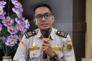 BKHIT Kalbar waspadai penyakit demam babi di perbatasan Indonesia
