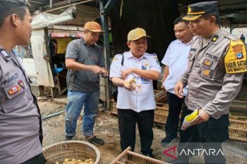 Pemkab dan Polres HSU tinjau pasar itik Alabio dukung program ketahanan pangan