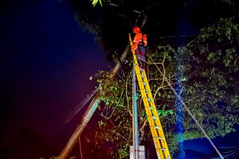 PLN gerak cepat atasi gangguan akibat cuaca buruk di NTB