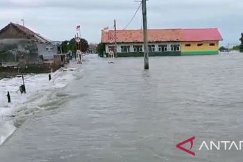 Ratusan rumah di pantura Karawang terendam banjir rob