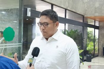 Kementan menargetkan pembukaan lebih dari 1 juta hektare lahan untuk jagung