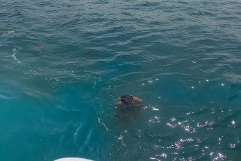 Tim SAR temukan jenazah pemancing terseret pasangnya air laut di Batam