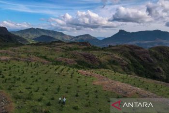 Vale perkuat kolaborasi media untuk pertambangan berkelanjutan