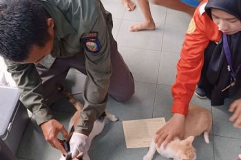 1.500 hewan peliharaan warga OKU divaksin antirabies