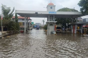 Tiga RT di Pluit Jakarta terendam rob hingga 70 centimeter