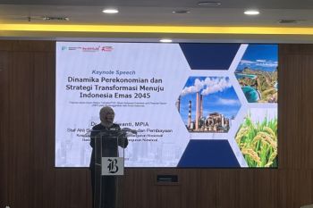 Bappenas: Total kebutuhan investasi periode 2025-2029 capai Rp47 triliun