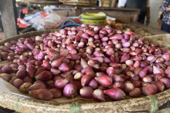 Harga pangan Jumat mayoritas turun bawang merah jadi Rp39.150 per kg