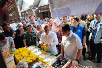 Menko Pangan Zulhas pastikan harga kebutuhan pokok stabil
