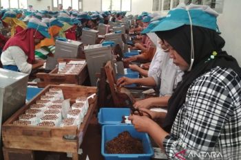 Jumlah pabrik rokok di Keresidenan Pati bertambah