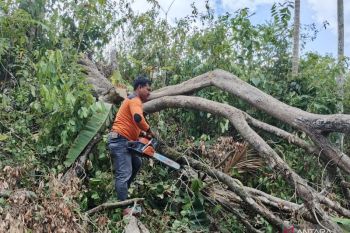 BPBD OKU Selatan  tetapkan status siaga darurat banjir dan longsor