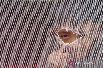 Early character education key to preventing drug abuse: psychologist