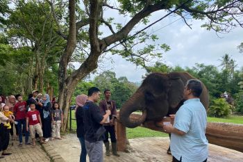Taman Wisata Lembah hijau jadi tempat cocok habiskan libur Natal-Tahun Baru