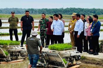 Mentan Andi Amran sebut tak temui lagi keluhan distribusi pupuk pertanian