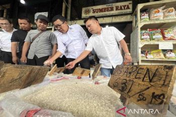 Beras premium tidak dikenakan PPN 12 persen