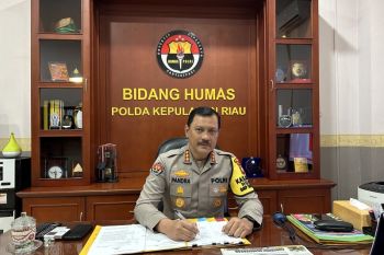 Penyeberangan Pelabuhan Punggur normal setelah kebakaran roro
