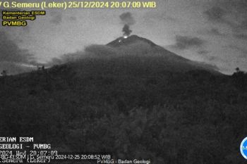 Gunung Semeru kembali erupsi dengan tinggi letusan 700 meter