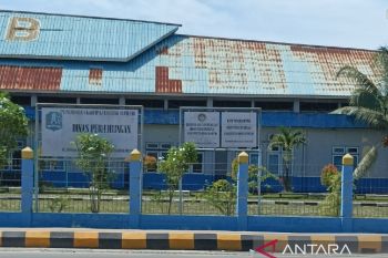 Layanan bebas trayek angkutan umum Natal Biak hanya situasional