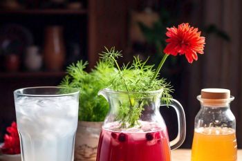 7 pengobatan untuk infeksi saluran kemih dengan obat alami yang terbukti ampuh