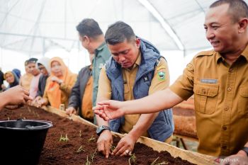 Wabup Solok apresiasi pembibitan kentang berbasis smart farming