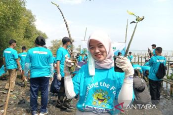 Pelni tanam 2 ribu bibit mangrove di Cirebon