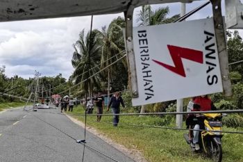 PLN pulihkan aliran listrik 71 desa dampak angin kencang di Parigi Moutong