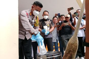 Polres Lombok Tengah rebus barang bukti Narkoba 8 kilogram
