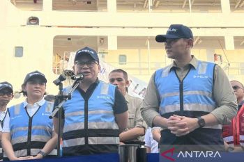 Wamen Tiko sebut peleburan Pelni-ASDP dan Pelindo masih dikaji