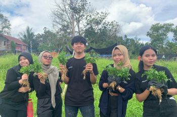 PT Pertamina Hulu Indonesia Gelar Aksi Sobat Bumi