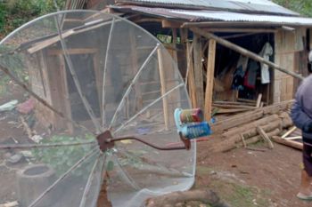 Suarni tewas diserang gajah liar di rumahnya di Tanggamus Lampung