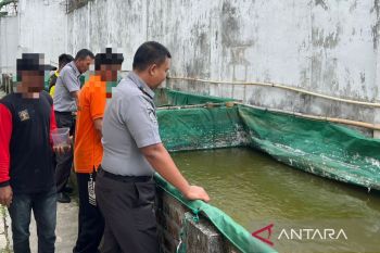 Lapas Martapura ajari warga binaan budi daya ikan di dalam kolam