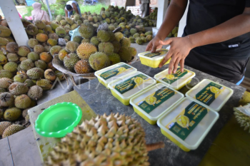 Kuliner durian khas Kayutanam
