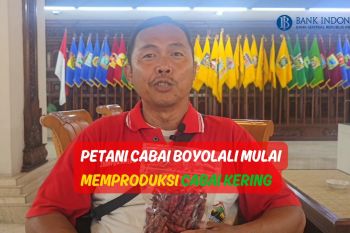 Petani Cabai Boyolali Mulai Memproduksi Cabai Kering