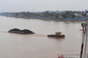 Pemprov Jambi: Pengangkutan batu bara jalur sungai 11 juta ton setahun