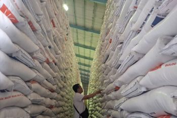 Harga gabah kering giling Lampung naik 2,03 persen