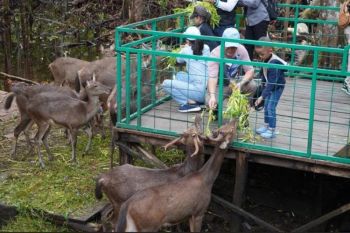 Gubernur Kalteng: Nyaru Menteng makin memperkuat pariwisata Kalteng