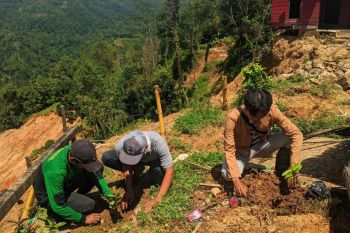 Mahasiswa Lebak lakukan reboisasi, tanam 1.000 pohon