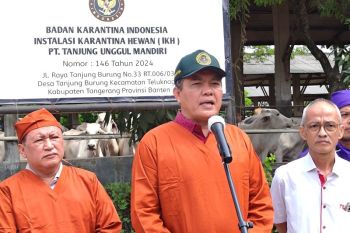 Cegah PMK, Barantin minta pemda masifkan vaksinasi hewan