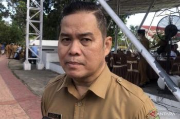 Dinkes: Penyebab dominan kematian ibu hamil Batam perdarahan dan preeklampsia