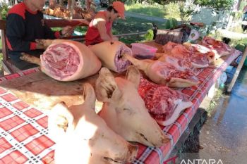 Disperindag sebut harga daging babi di Sulut masih mahal