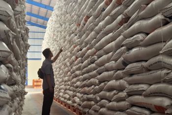 Bulog Lampung targetkan pengadaan 100 ribu ton setara beras di 2025